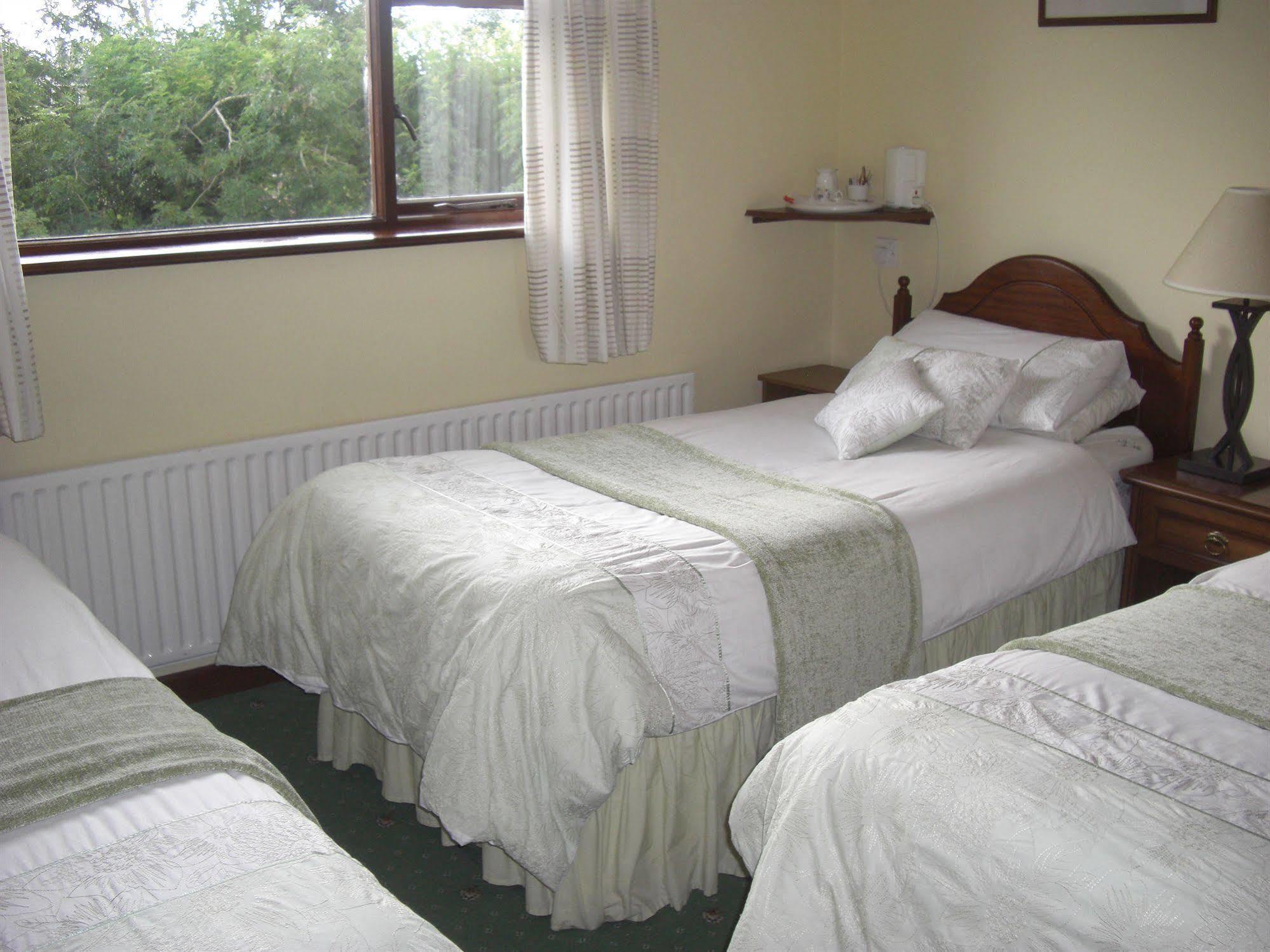 Springlawn Bed & Breakfast Clarinbridge Eksteriør bilde