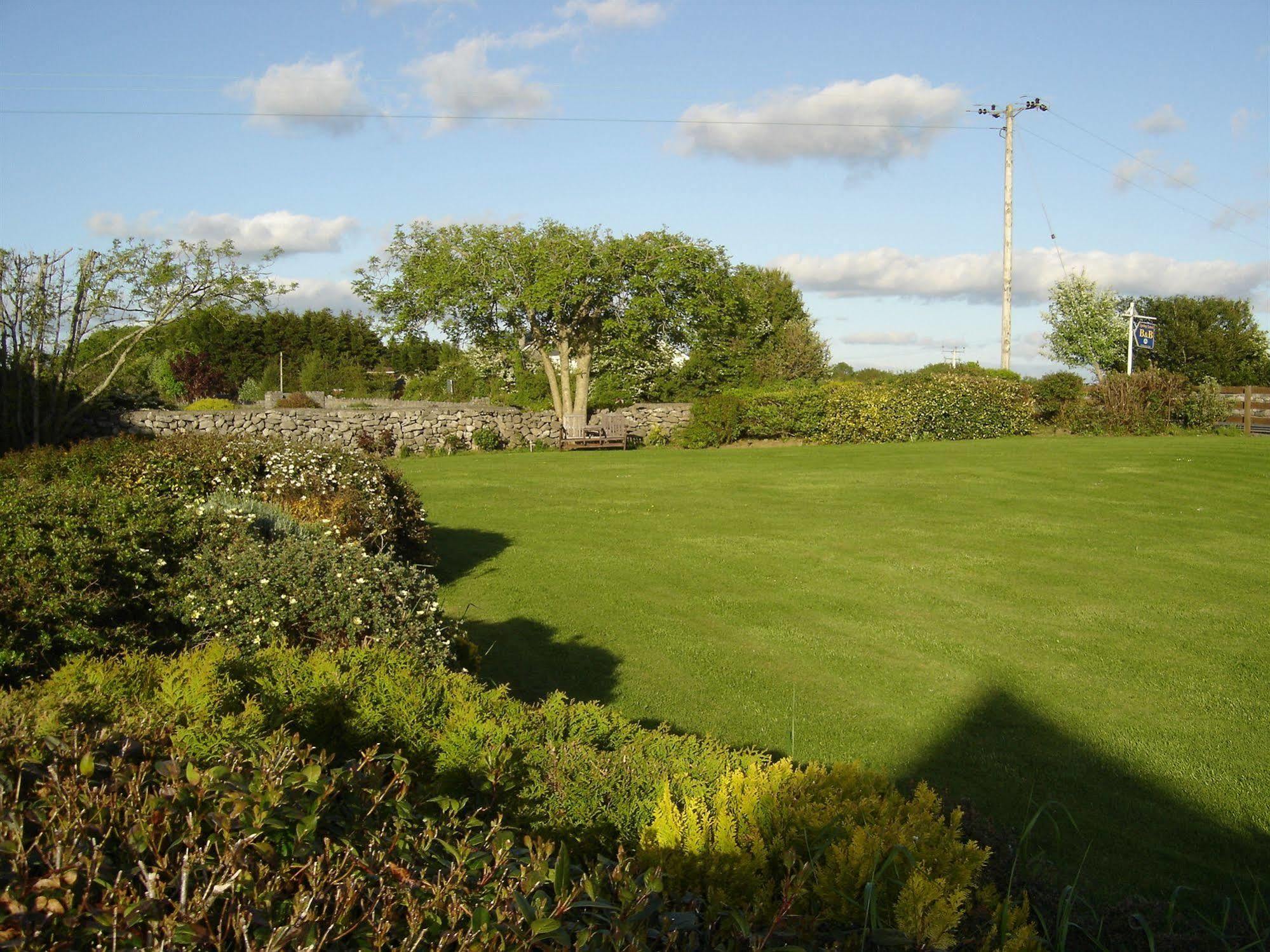 Springlawn Bed & Breakfast Clarinbridge Eksteriør bilde